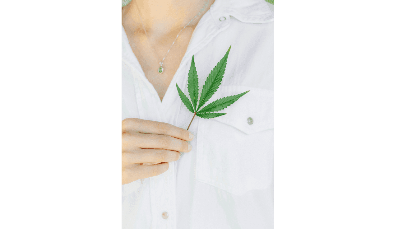 Person hält Blüte an ihr weißes Hemd